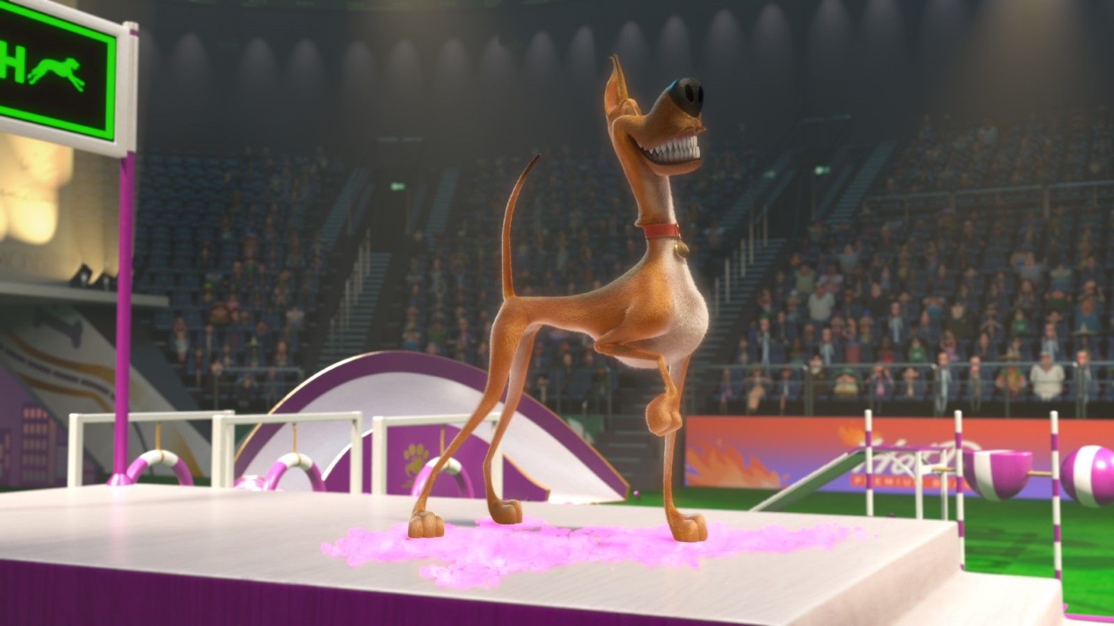 Foto de la película Marmaduke Foto 15 por un total de 40