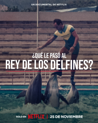 ¿Qué le pasó al rey de los delfines? - Documental 2022