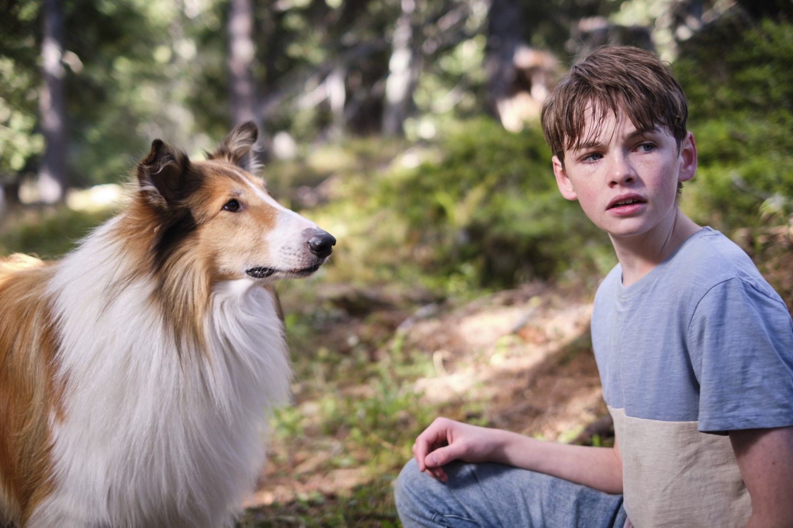 Foto de la película Lassie (Una nueva aventura) - Foto 5 por un total ...