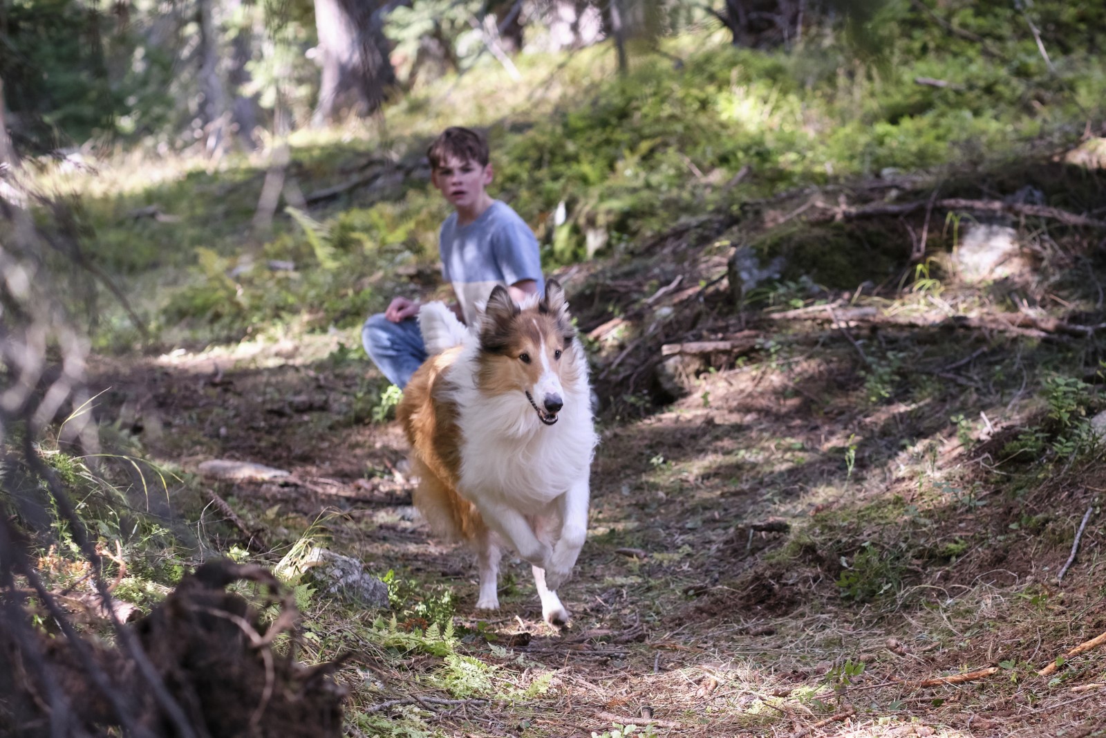 Foto De La Película Lassie Una Nueva Aventura Foto 3 Por Un Total De 49 4100