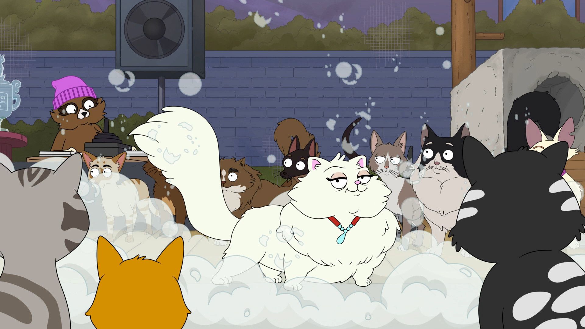 Housebroken Foto 3 sobre un total de 7