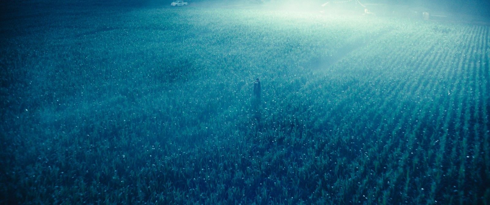 Foto de la película El reino animal Foto 3 por un total de 12