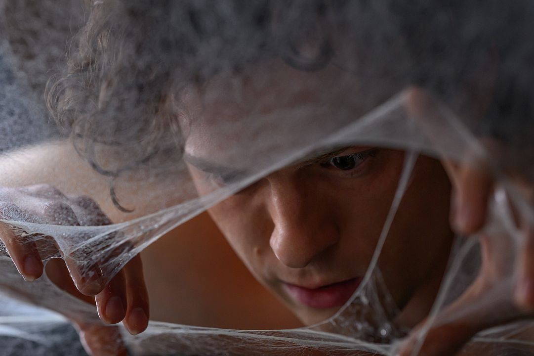 Spider-Man: Brand New Day : Foto Tom Holland