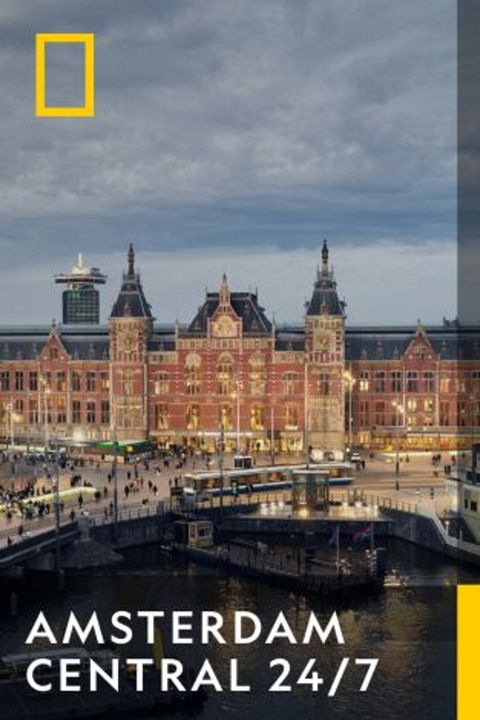 Amsterdam Central 24/7 : Cartel