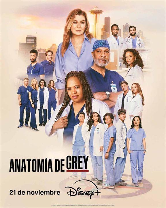 Anatomía de Grey : Cartel