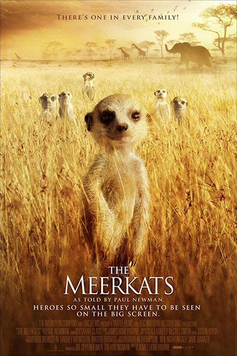 The Meerkats : Cartel