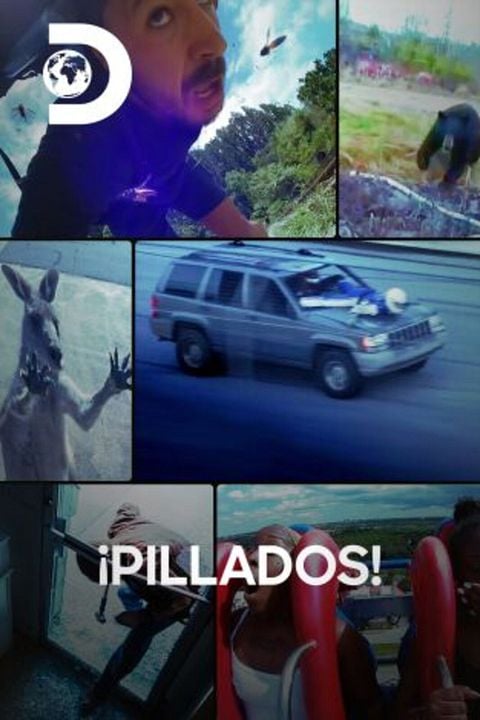 ¡Pillados! : Cartel