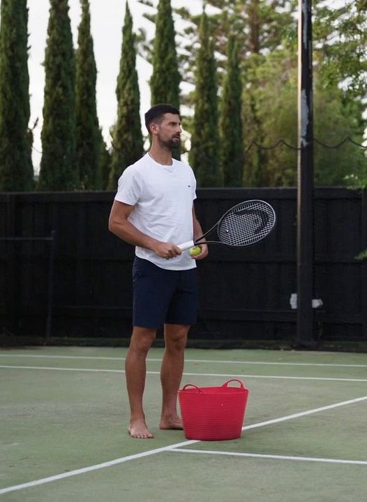 Novak Djokovic: El lobo : Cartel