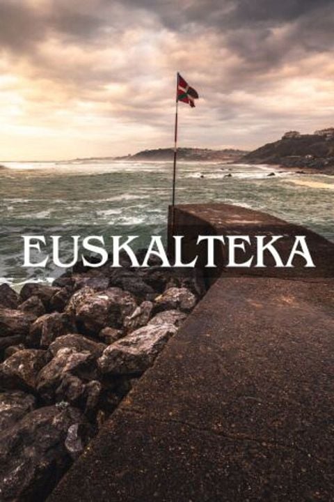 Una historia de vasconia : Cartel