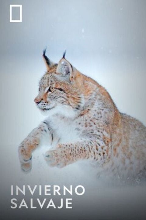 Wild Winter : Cartel