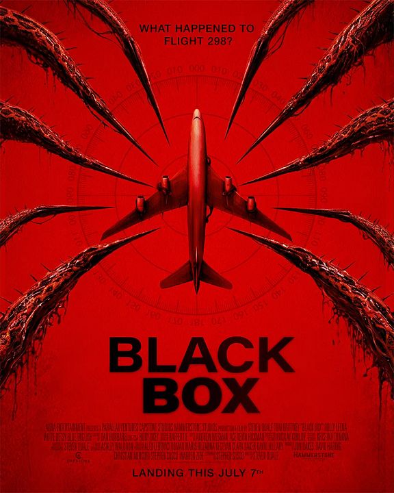 Black Box: Vuelo 298 : Cartel