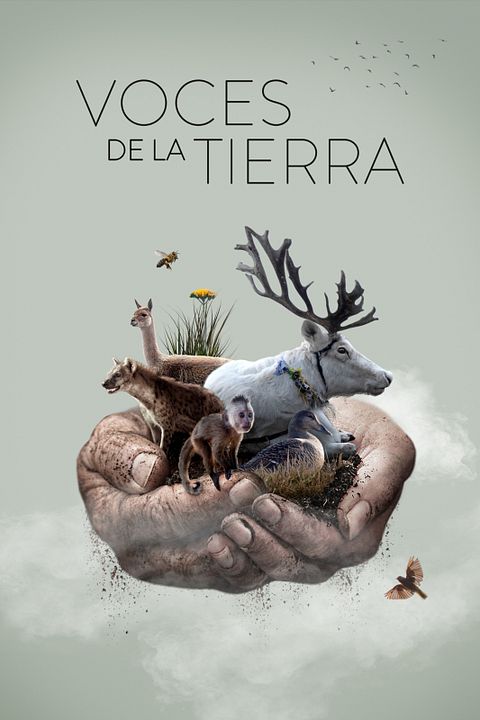 Voces de la Tierra : Cartel