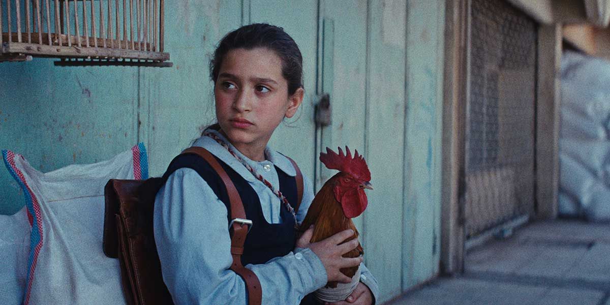 La tarta del Presidente : Foto Baneen Ahmad Nayyef