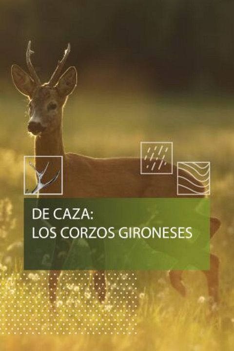 De caza: los corzos gironeses : Cartel