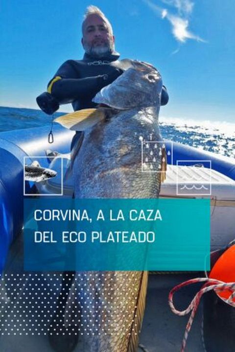Corvina, a la caza del eco plateado : Cartel