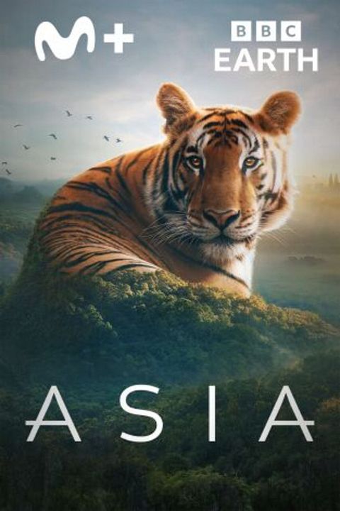 Asia : Cartel