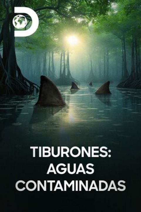 Tiburones: aguas contaminadas : Cartel