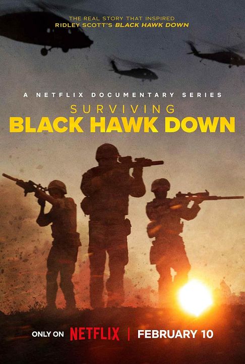 Cómo sobrevivimos a la caída de los Black Hawk : Cartel