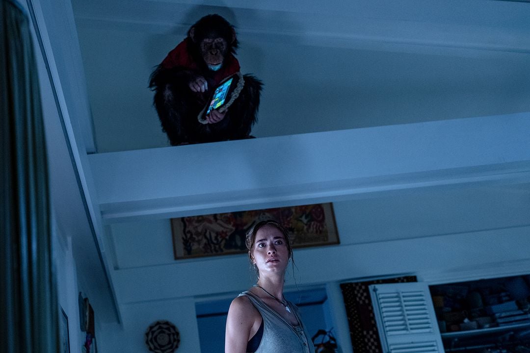 Primate : Foto Johnny Sequoyah, Miguel Torres Umba