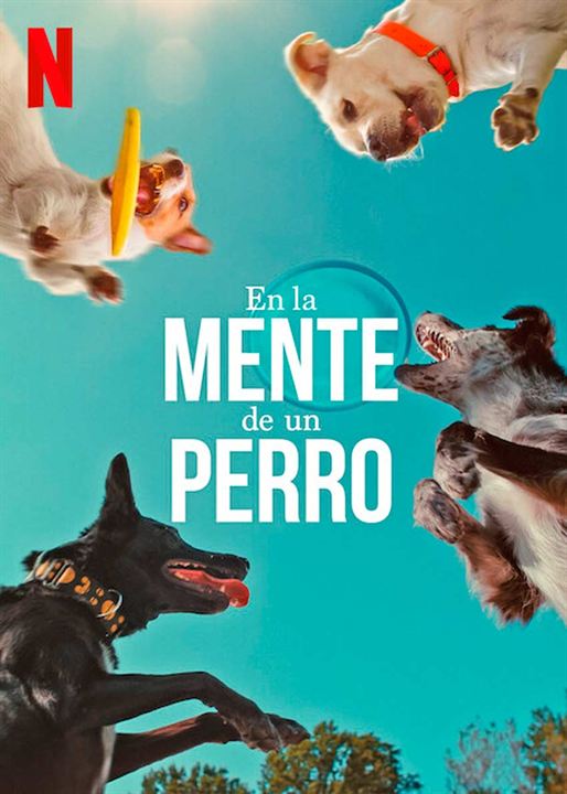 En la mente de un perro : Cartel