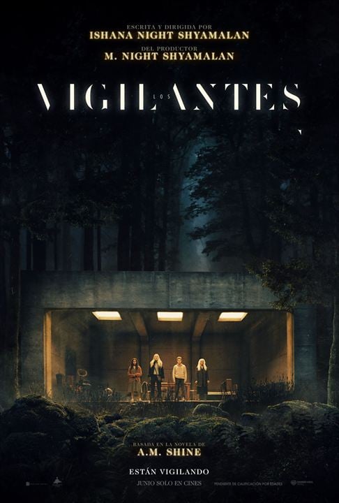 Los vigilantes : Cartel