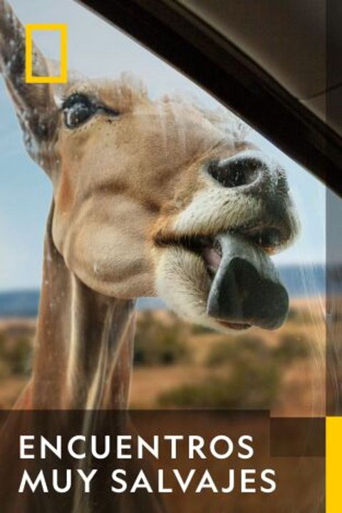 Encuentros muy salvajes : Cartel