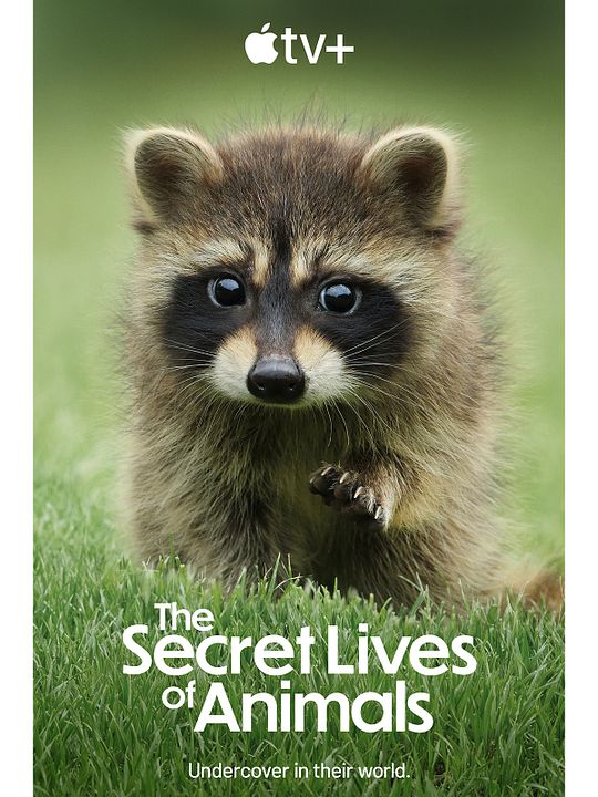 La vida secreta de los animales : Cartel