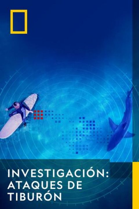 Investigation Shark Attack : Cartel