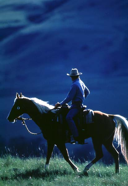 El hombre que susurraba a los caballos : Foto Robert Redford