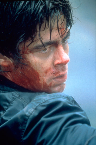 The Hunted (La presa) : Foto Benicio Del Toro