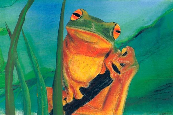 Foto Lucinda Clutterbuck