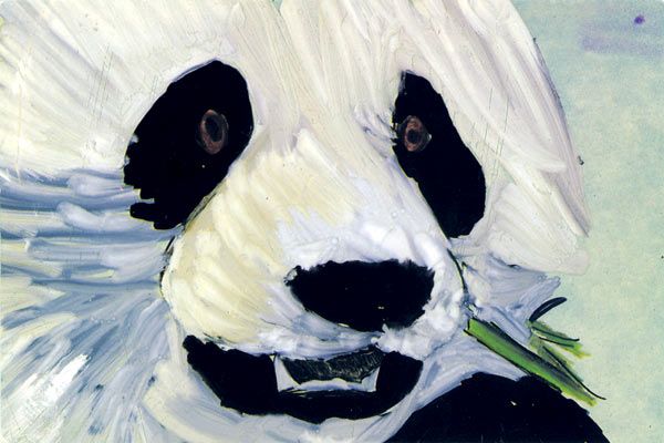 Foto Lucinda Clutterbuck