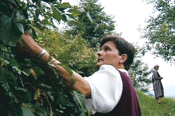 Foto Laurent Bécue-Renard