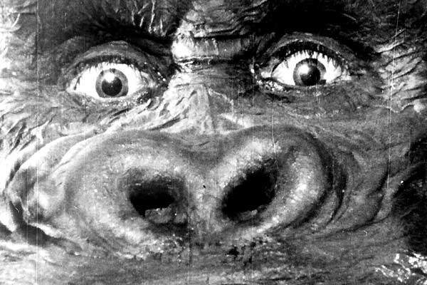 King Kong : Foto Merian C. Cooper, Ernest B. Schoedsack