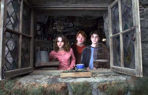 Harry Potter y el Prisionero de Azkaban : Foto Alfonso Cuarón, Daniel Radcliffe, Emma Watson, Rupert Grint