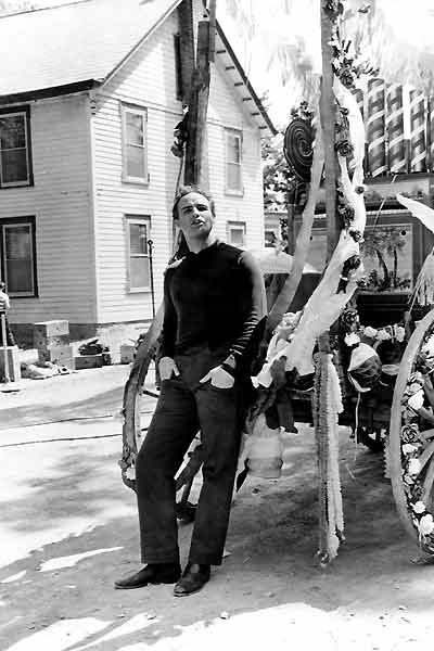 Piel de serpiente : Foto