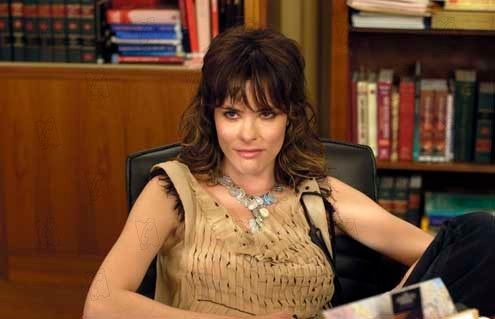 Hasta que la ley nos separe : Foto Peter Howitt, Parker Posey