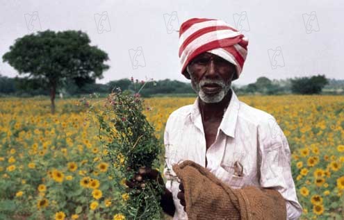 Ayurveda: El Arte de Vivir : Foto Pan Nalin