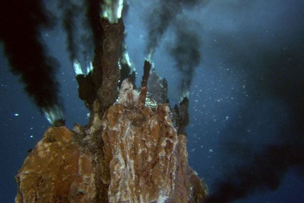 Misterios del océano : Foto