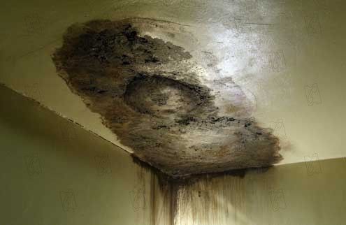 Dark Water (La huella) : Foto Walter Salles