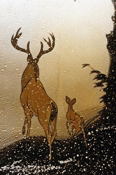 Bambi : Foto