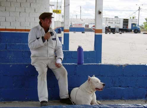 Bombón, el perro : Foto Juan Villegas, Carlos Sorín
