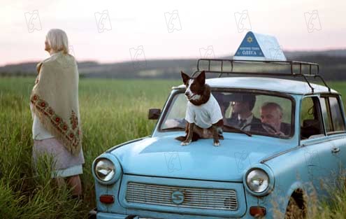 Everything Is Illuminated (Todo está iluminado) : Foto Liev Schreiber