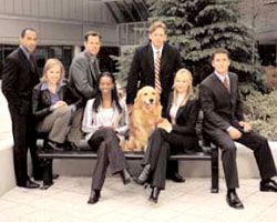 Sue Thomas: F.B. Eye : Cartel