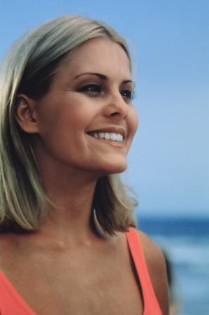 Los vigilantes de la playa : Foto