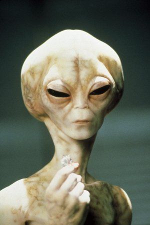 Más Allá del Límite : Foto