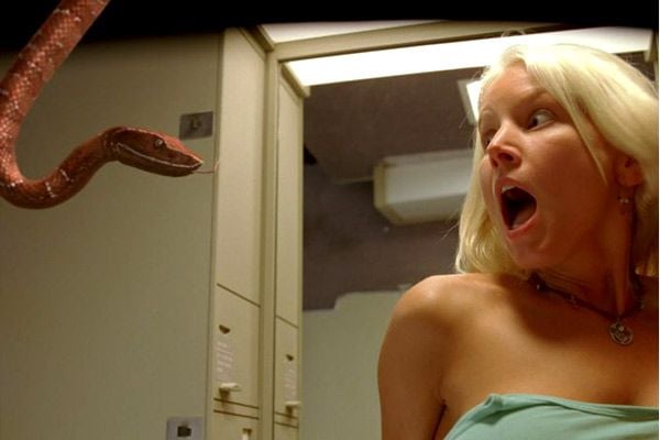 Serpientes en el avión : Foto