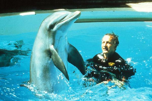 El día del delfín : Foto