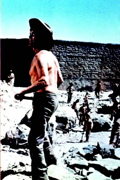 El día de los tramposos : Foto Joseph L. Mankiewicz