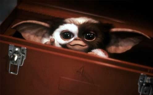 Gremlins : Foto Joe Dante